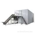 IQF Cama Fluidized Tunnel Blow Freezer